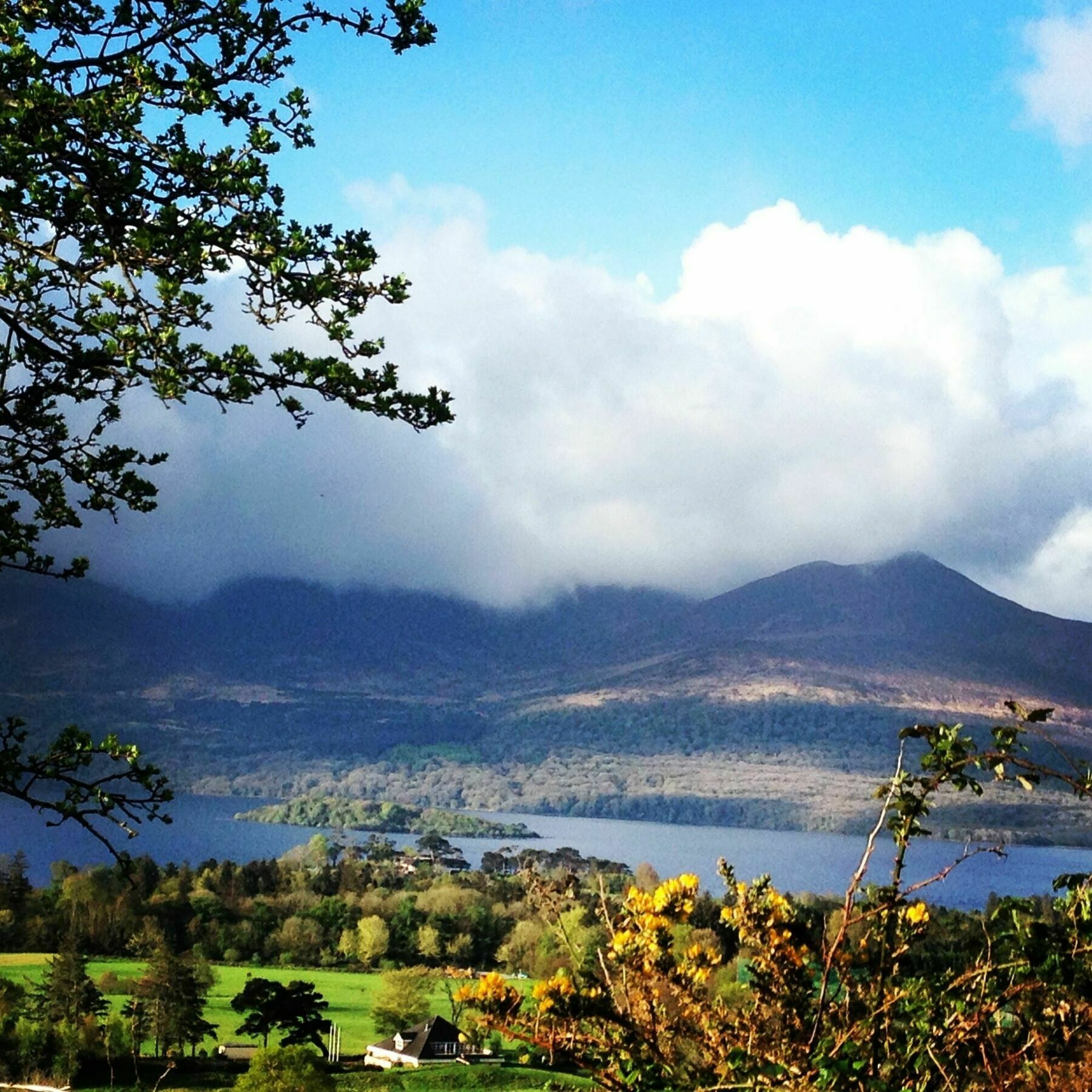 Innisfallen Hotel Killarney Exterior foto